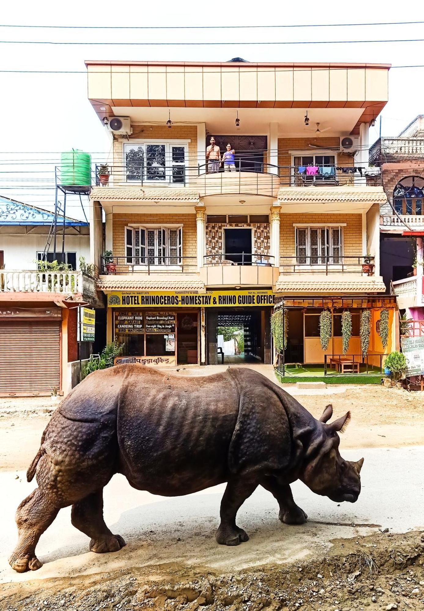 Hotel Rhinoceros-Homestay Sauraha Exterior photo