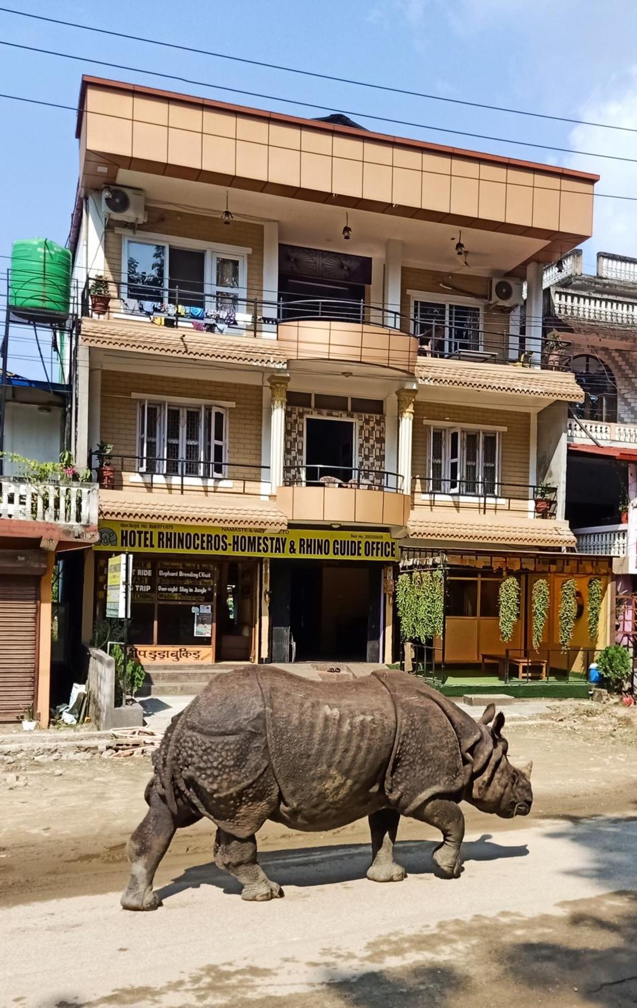 Hotel Rhinoceros-Homestay Sauraha Exterior photo